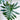 Philodendron Revolution
