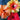 Hibiscus (Painted Lady/ President Red'