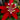 Passion Vine Red Teepee