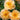 Rosa Flower Carpet® 'Amber' (Groundcover Rose)