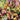 Sedum Carpets of Color