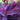 setcreasea purple heart