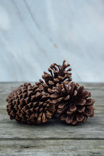 Pinecones