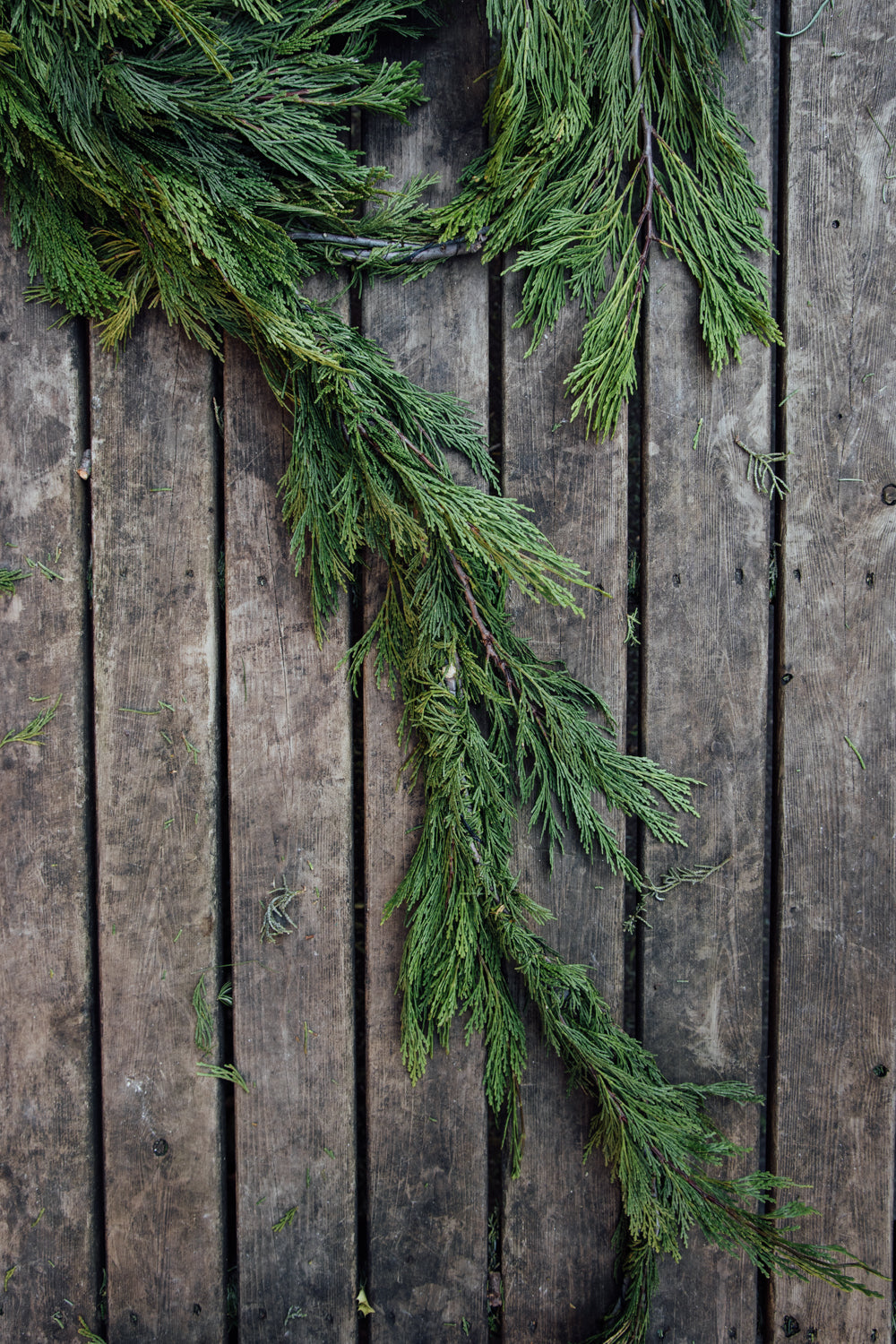 Oregon Red Cedar Garland