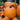 Extra Large Pumpkins
