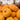 Jack Be Little Pumpkins