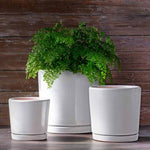 I/O Cylinder 2 Planter in Cloud White