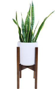 Adjustable Plant Stand